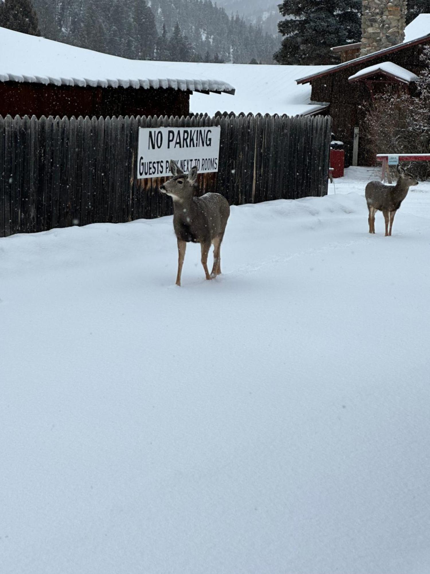 Deer Lodge เรดริเวอร์ ภายนอก รูปภาพ
